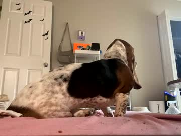 girl Chaturbate Cam Girls with mylamalika